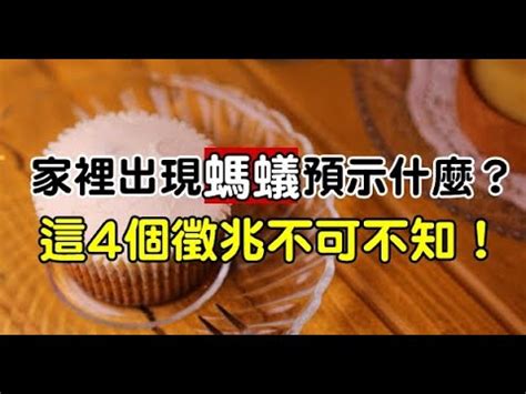 螞蟻風水|風水螞蟻代表什麼象徵意義